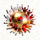 6686体育官方Logo